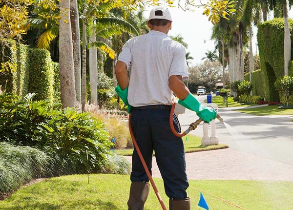 About Circleville KS Pest Control